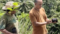 Bukit Hena yang Dulu Tandus Kini Berubah Hijau Berkat Gerakan Menoken