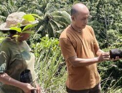 Bukit Hena yang Dulu Tandus Kini Berubah Hijau Berkat Gerakan Menoken