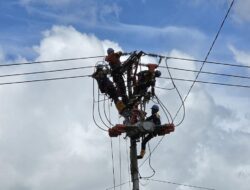 PLN Gelar “Gerebek Penyulang” untuk Amankan Pasokan Listrik dan Idul Adha di Tanah Papua