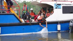 Dukung Keberlanjutan Ekosistem Pesisir Mimika, Freeport Lepas 10.000 Bibit Baramundi dan 1.000 Kepiting Bakau