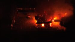 Pj Sekda Puncak Laporkan Kerusuhan ke Gubernur, 8 Kantor Pemerintah Terdampak